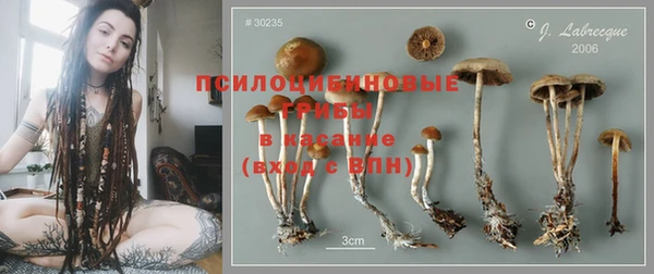 шишки Балахна