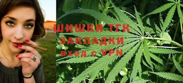 прущие грибы Баксан