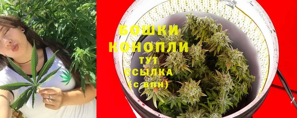 гидропоника Балабаново