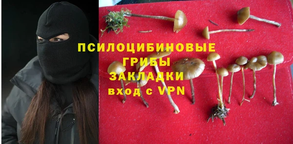 шишки Балахна