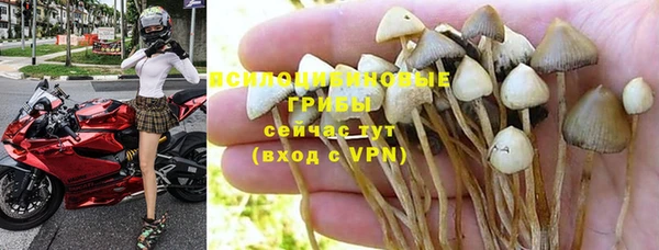 скорость Пересвет