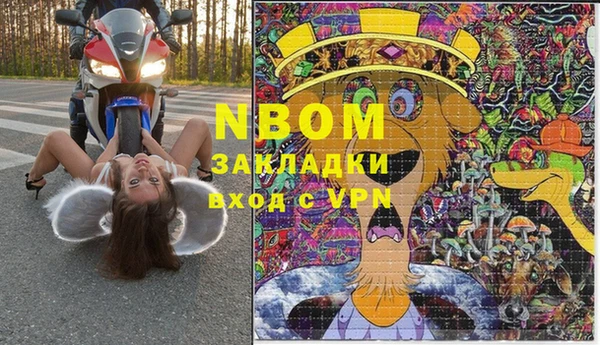 шишки Балахна