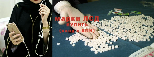 прущие грибы Баксан
